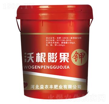 �ָ�����-���r�S�ʘI(y��)