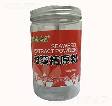 ���徫ԭ��-�����