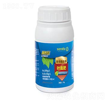 �ߵ��͏�(f��)��΢�����~���-ɭ��