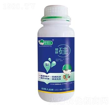 �Ǵ���-������-�����