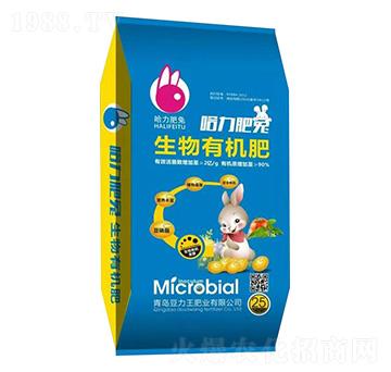 �����ЙC��-��������-������