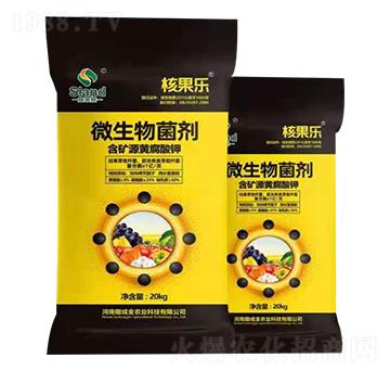 ΢������� �˹���(l��) ���ɽ�