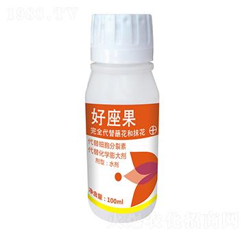 ������ ʢ����