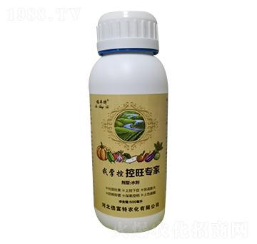 ������(zhu��n)�� ���ƿ� �������r(n��ng)��