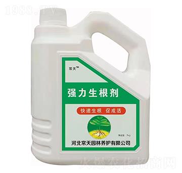 ���������� ����