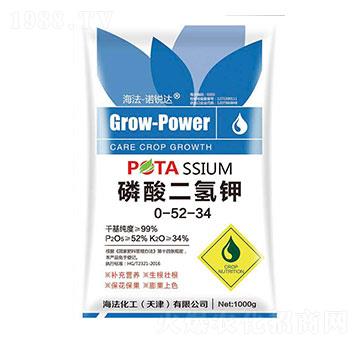 ��������0-52-34 �Z�J�_(d��) ����