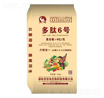 ����6̖(h��o)-����r(n��ng)�I(y��)