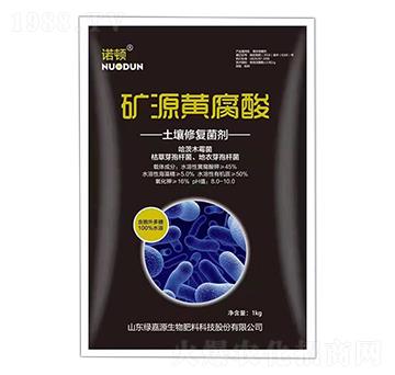 �����ޏ�(f��)���� �VԴ�S���� �G��Դ