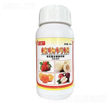 �ЙC�����Ǵ��}�V-����r(n��ng)��