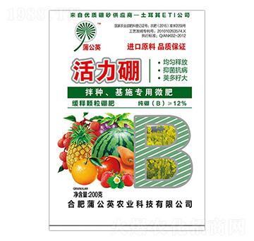 ������ �ѹ�Ӣ�r(n��ng)�I(y��)