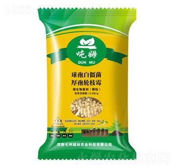 �����طN��-��ķ