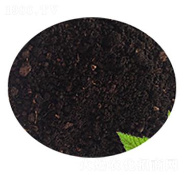 �ݻ���-�Gɫ��@