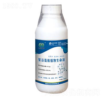 �۹Ȱ���ֲ������Һ-�|�Z����