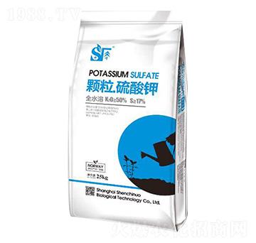 �w��������� ���Y�Z