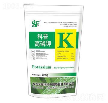 ����� ���� ���Y�Z