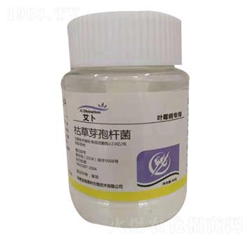 �ݲ�ѿ�ߗU�����~ù�����ã�-����-��ɭ�߿�