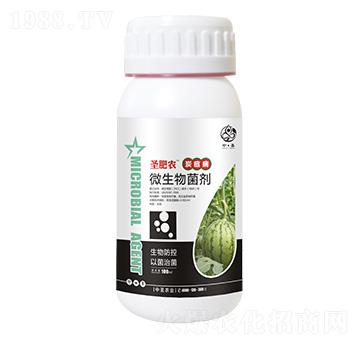 ƿ�b̿�Ҳ�����΢�������-ʥ���r-��ʥ�r�I(y��)