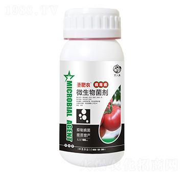 ƿ�b����������΢�������-ʥ���r-��ʥ�r�I(y��)