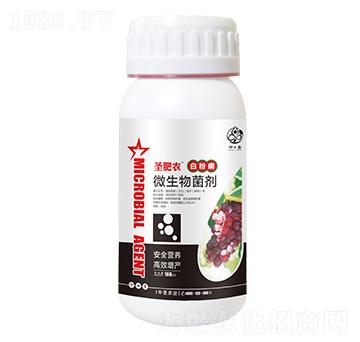 ƿ�b�׷۲�����΢�������-ʥ���r-��ʥ�r�I(y��)