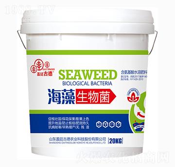 ���������-�_��(y��u)�r�I(y��)