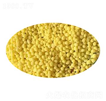 �r�I(y��)�������@�}�����V���� �����r�I(y��)