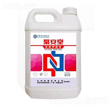 ����⛾�Һ �۰��� ��׿�r(n��ng)�I(y��)