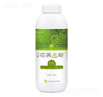 ��������Ȫ���}-�������