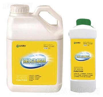 ����������-��������