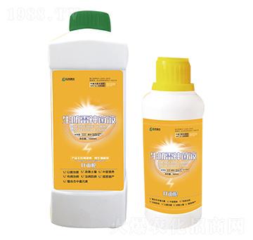 �����������-��������