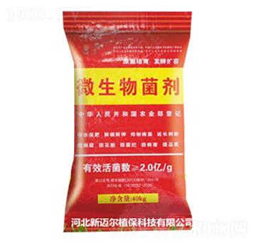 40kg΢�������-���~��