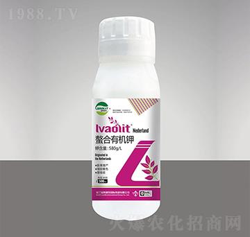 �����ЙC(j��)�-�G�W�r(n��ng)�I(y��)