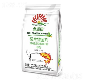 ΢�������-�~����-��T����