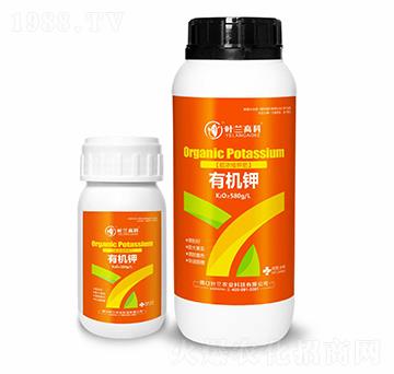 �ЙC(j��)�-�~�m�߿�