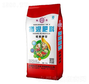 ������͓������-�]��-���S�r(n��ng)��