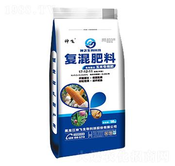 ���׌��Ïͻ����17-12-11-���w����