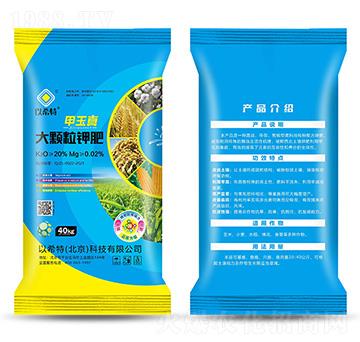 20%��������w��⛷�-�Љ�