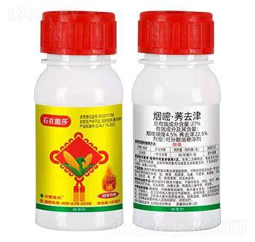 27%���ס�ݬȥ��-ʯ����ɯ-���H�߿�