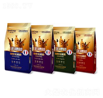 ΢�ۻ����-����Ƽ�