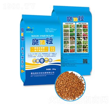 ħ����-��(r��n)�S���r(n��ng)