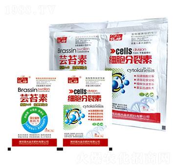 �|̦��+��(x��)��������-��