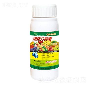 ��(x��)��������-�������r(n��ng)