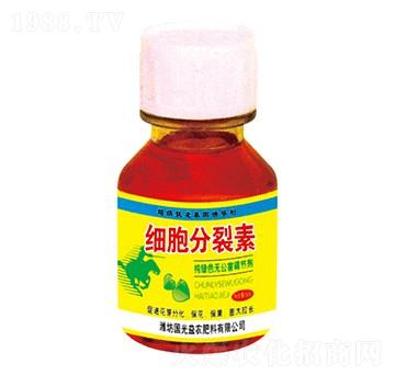 60g��(x��)��������-����