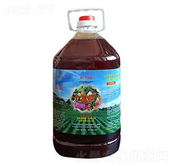 ��һ������-�߼���-������