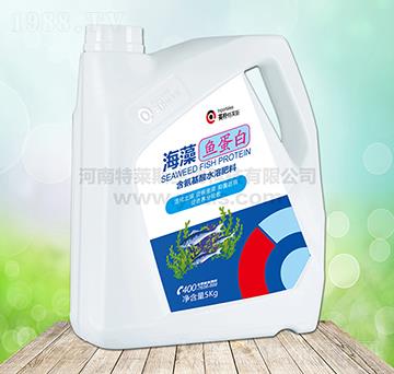 �����~����-Ӣ�����R˹