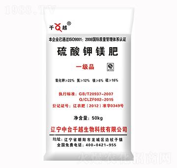 ������V��-ǧԽ