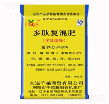 ���ď�(f��)���19-18-8-ǧԽ