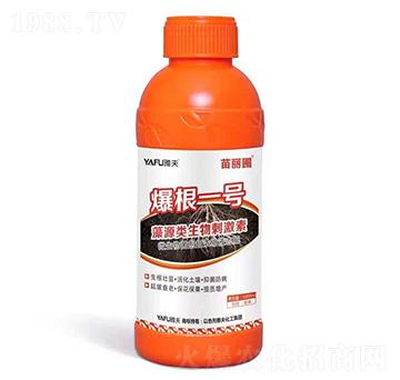 ��Դ�����̼���-����һ̖(h��o)-������-�ŷ򻯹�