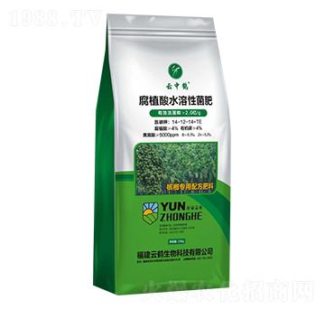 ��ֲ��ˮ���Ծ���-�����Q-���Q����