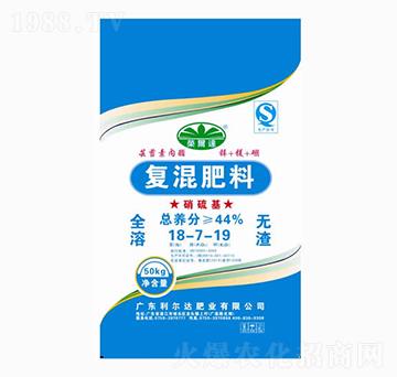 ������͏�(f��)�����18-7-19-�����_(d��)