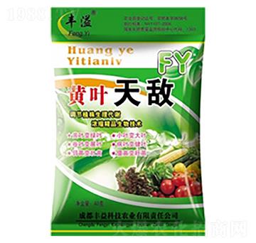 �S�~�씳-�S��